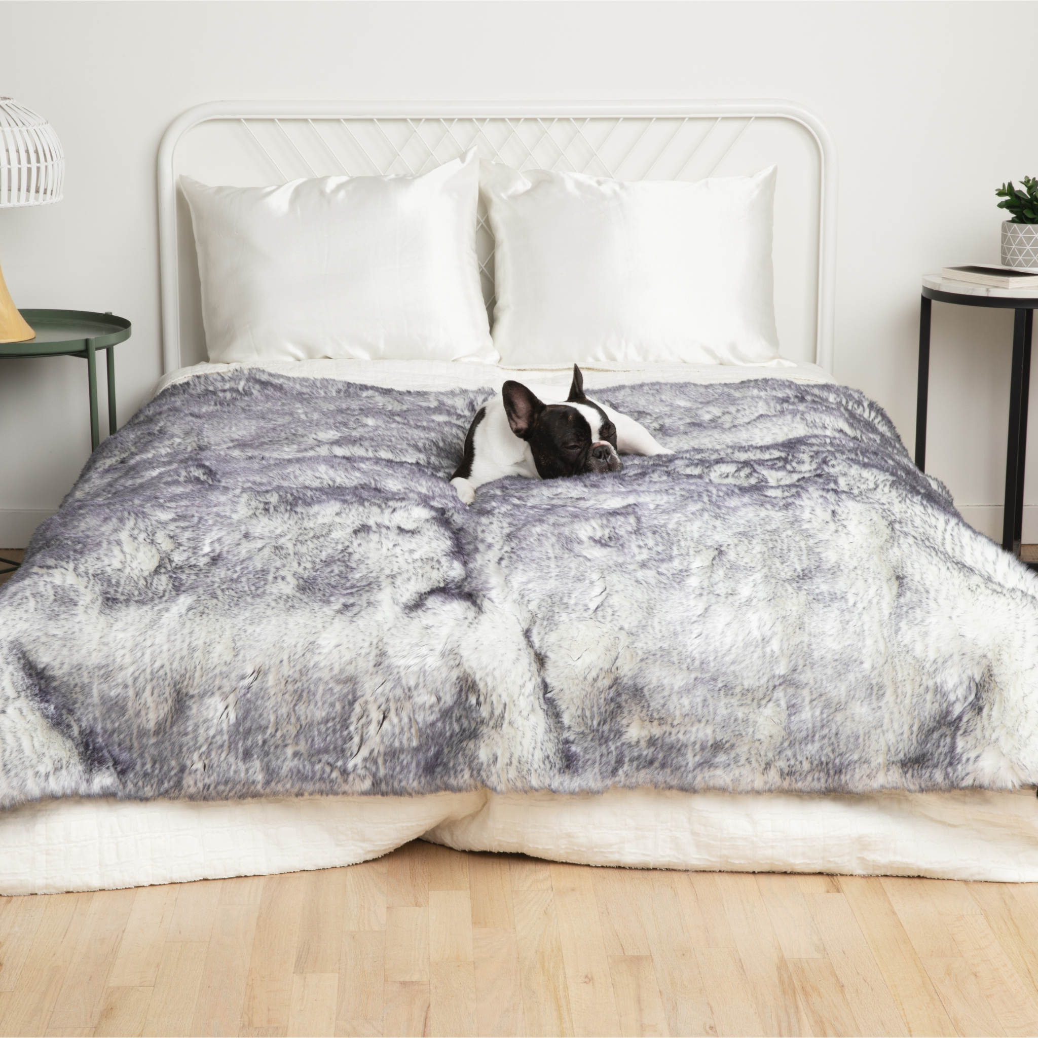 PupRug™ Luxe Orthopedic Runner Bed + Matching Waterproof Blanket Bundle - Ultra Plush Arctic Fox、mySite、solidvoid