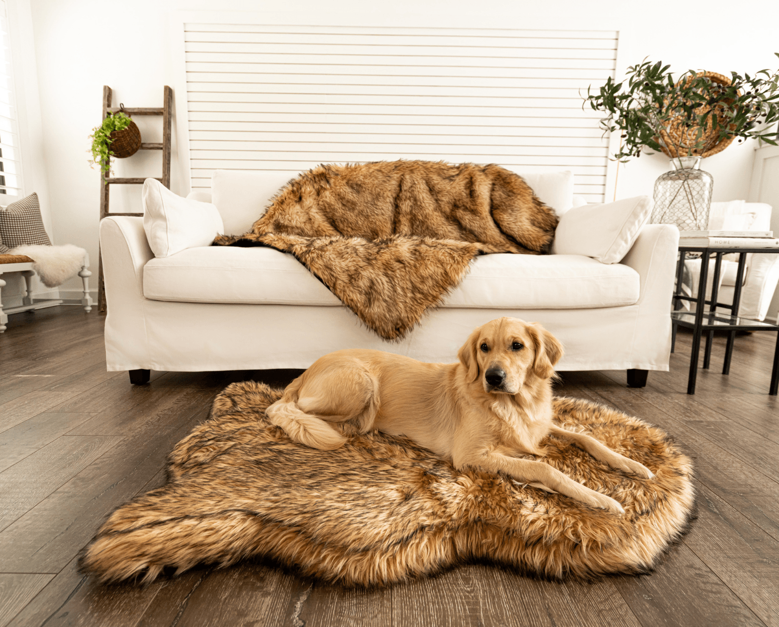 PupRug™ Orthopedic Bed + Matching Waterproof Blanket Bundle- Sable Tan、mySite、solidvoid