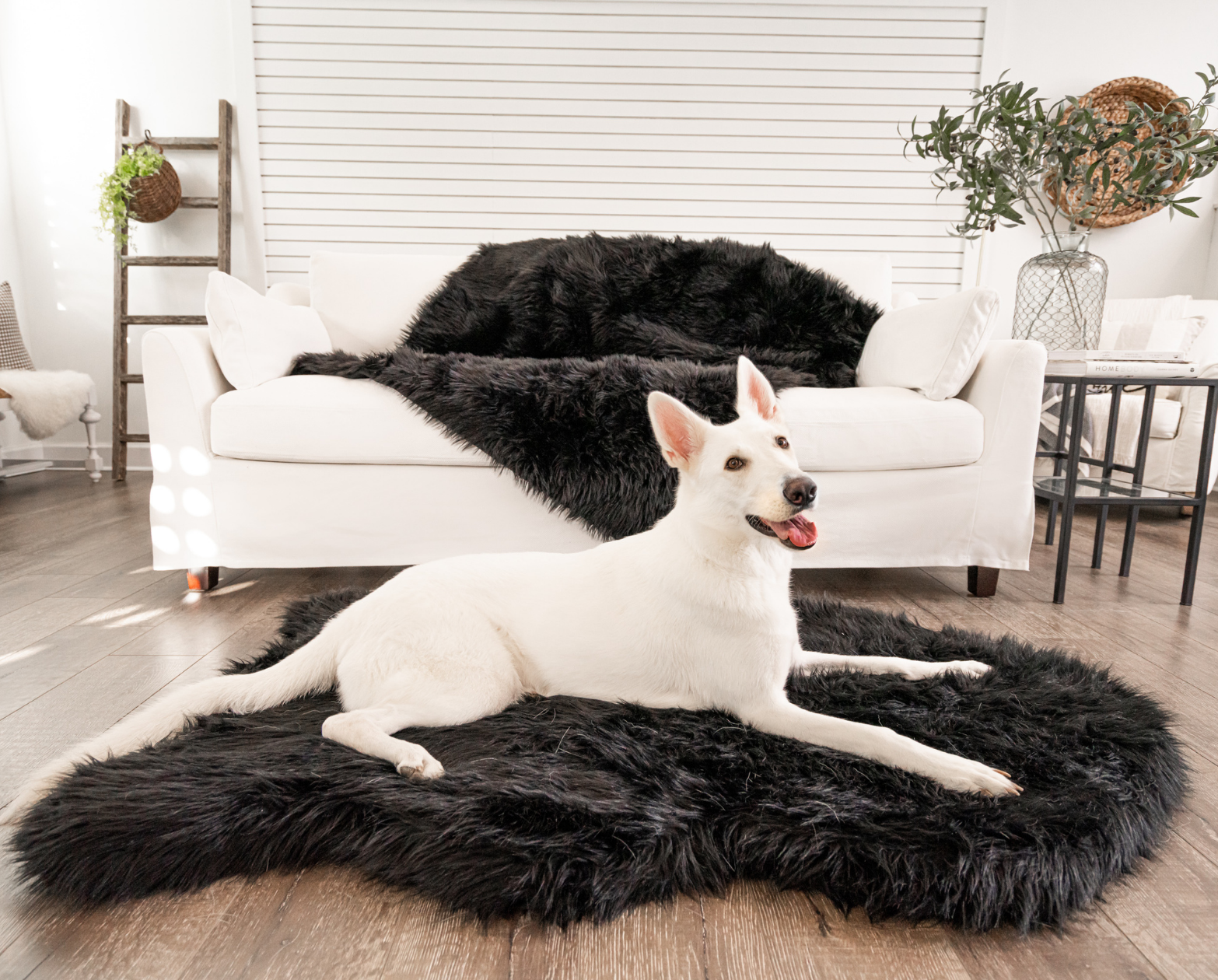 PupRug™ Bundle - Orthopedic Bed Curve, Midnight Black + Matching Waterproof Blanket、mySite、solidvoid