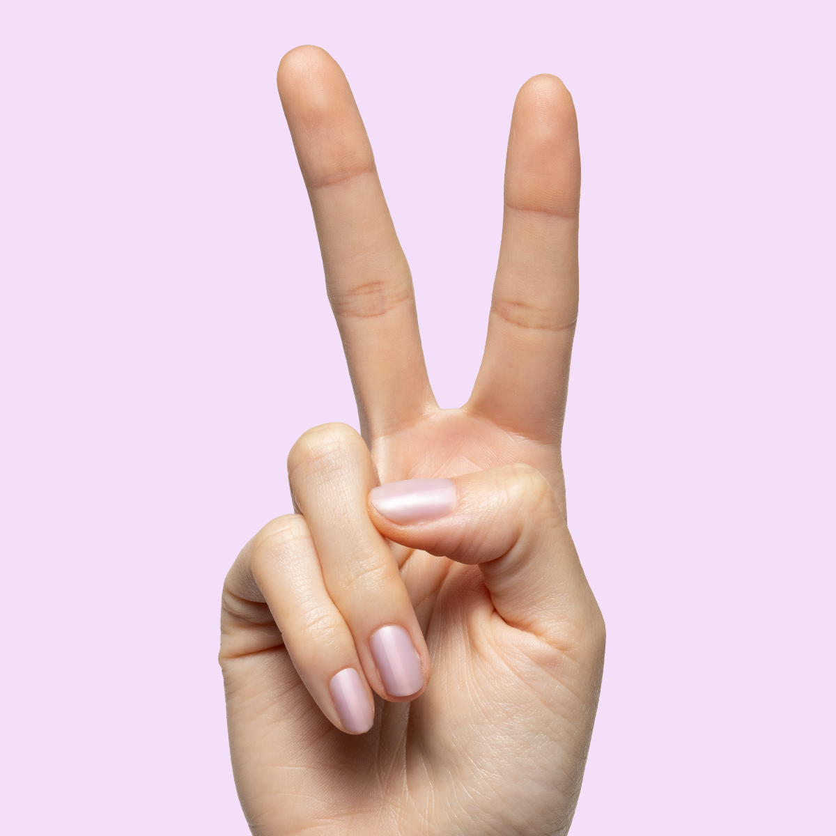 Passionfruit Gloss、mySite、solidvoid