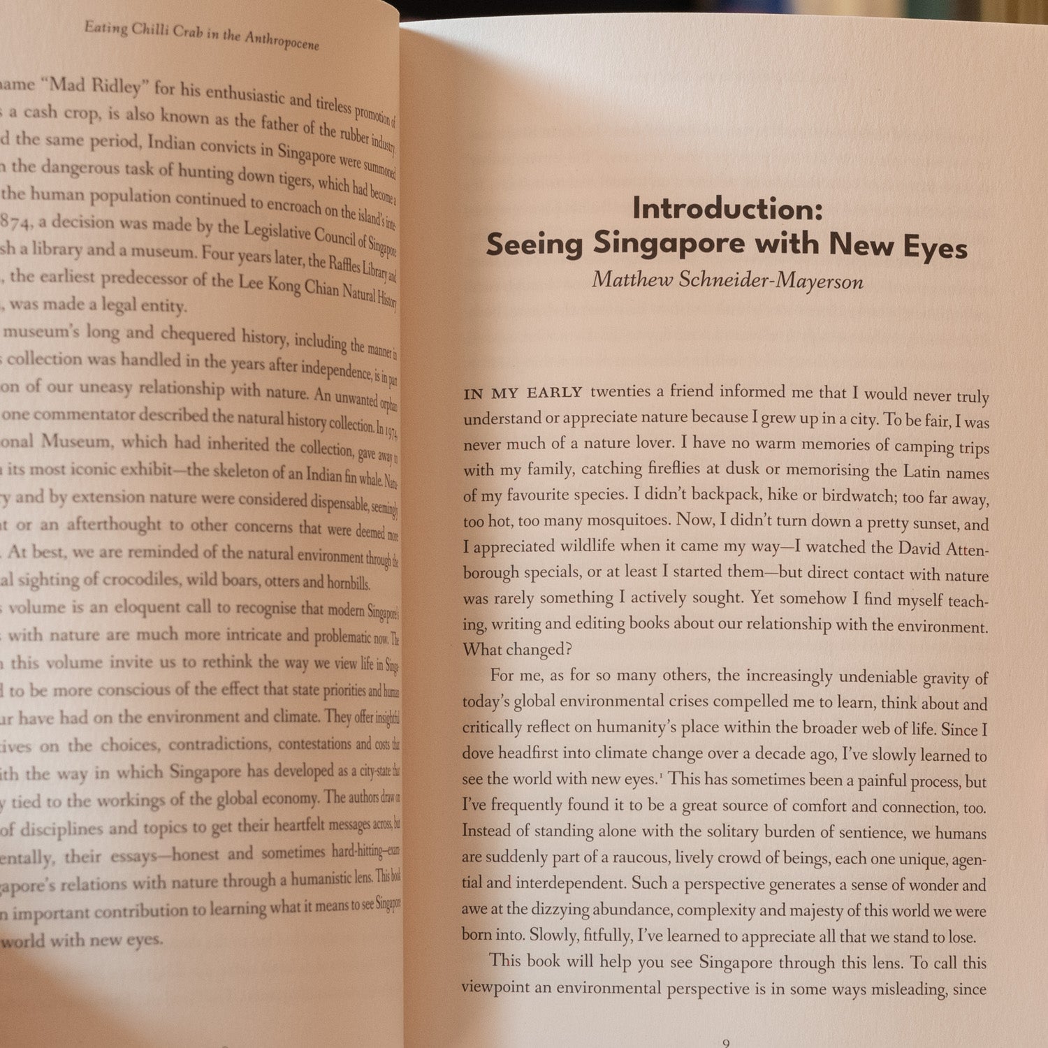 Eating Chilli Crab in the Anthropocene、mySite、topwebapps