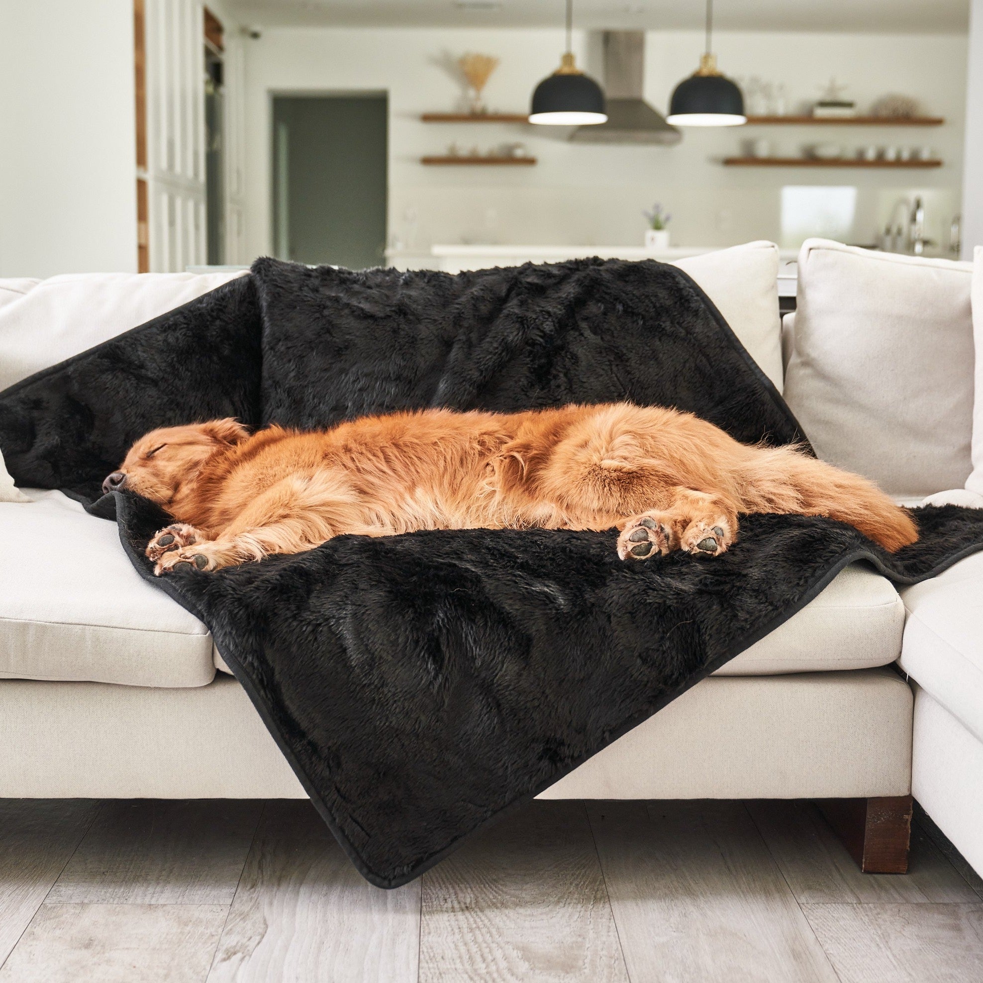 PupProtector™ Summer Short Fur Waterproof Throw Blanket - Midnight Black、mySite、solidvoid