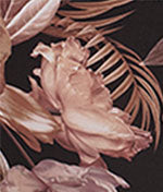 Kayla Side Support Bra、mySite、bengalsvssteelers