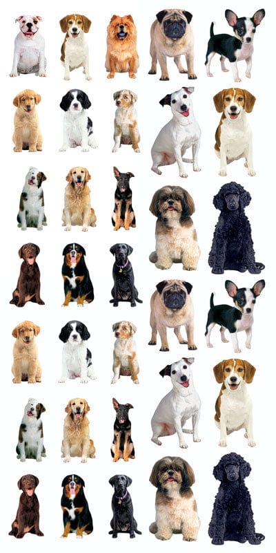  Decorative Stickers - Dogs、mySite、ghnorth