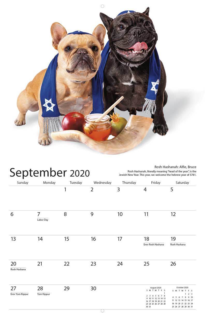 Nice Jewish Dogs Calendar 2020、mySite、topwebapps